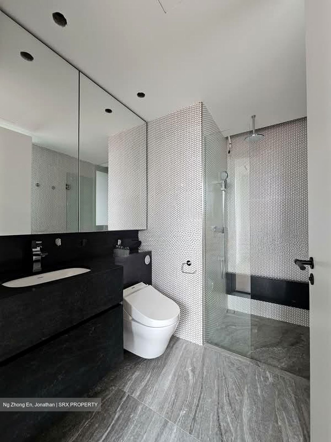 10 Evelyn (D11), Apartment #535141021